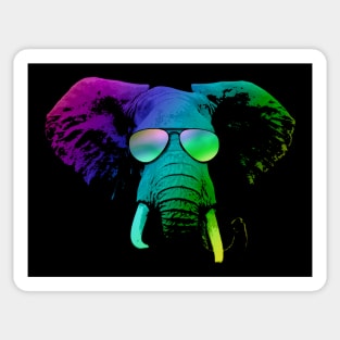 Cool DJ Elephant With Sunglasses Sticker